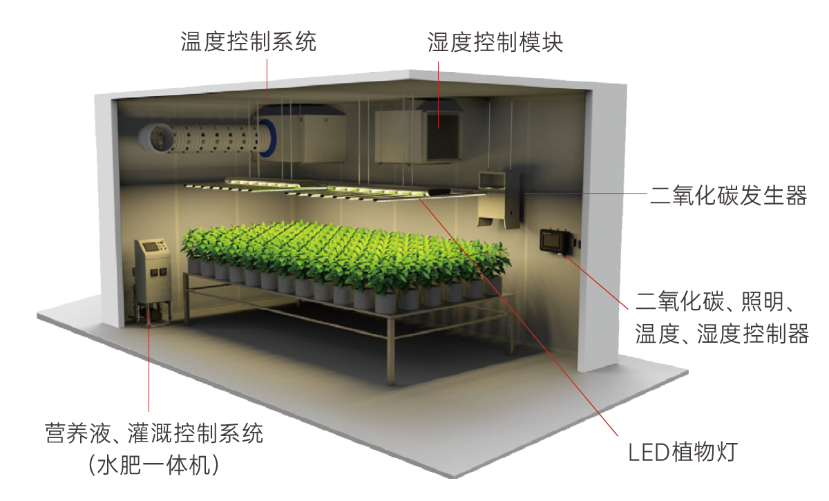植物成长.png